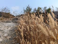 -蟠龙山长城景区