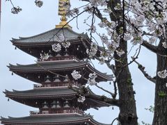 -浅草寺