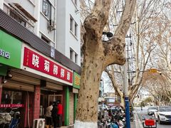-晓菊梆梆面