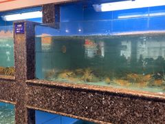 -王庄阿咪海鲜大排档(象园店)