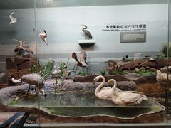 -大庆市博物馆