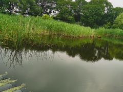 -西湖风景区-江洋畈生态公园