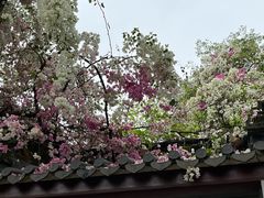 -深圳国际园林花卉博览园