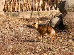 -宁波野生动物园