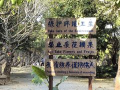 -云南勐巴娜西珍奇园