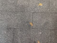 -大戚饭店(泰华路店)