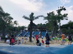 -宝安西湾红树林湿地公园