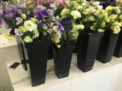 -Butchart布查德鲜花(花艺设计中心)
