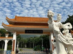 -深圳仙湖植物园