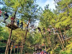 -梦幻奥陶纪景区