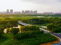 -哈尔滨大剧院