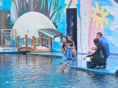 -北戴河圣蓝海洋公园