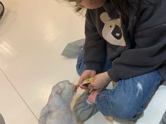 -飞行喵MR PILOT|猫舍·猫咖(静安大融城店)