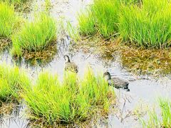 -花湖生态旅游区