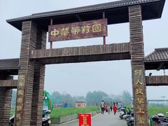 -中华茉莉园