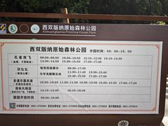 -西双版纳原始森林公园