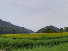 -广州市石门国家森林公园