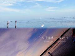 -南汇新城海滩
