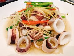 白灼鲜鱿-香山家宴