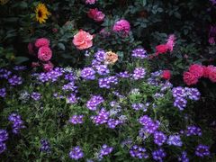 -人民公园(罗湖区)