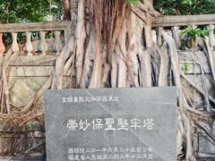 -乌山风景区