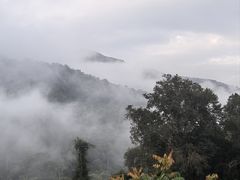 -野象谷景区