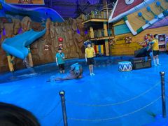 -烟台海昌鲸鲨海洋公园