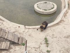 -青藏高原野生动物园
