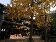 -黄龙溪古镇