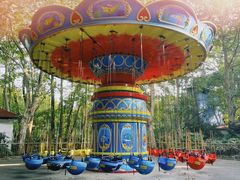 -上海共青森林公园