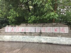 重庆彩云湖国家湿地公园-重庆彩云湖湿地公园