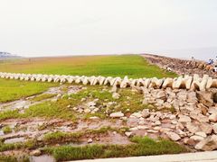 -南汇嘴观海公园