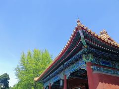 -老北京炸酱面(故宫店)