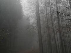 -山王坪喀斯特国家生态公园