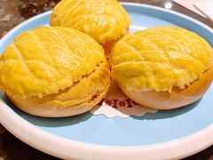 水牛奶菠萝包-新兴·金羊座·粤菜点心(乐峰店)