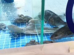 -富临港·蒸汽海鲜·手抓海鲜·炒菜(栈桥店)