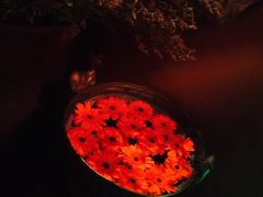 -花马天堂云南餐厅 Lost Heaven(高邮路店)