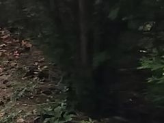 -府君山公园