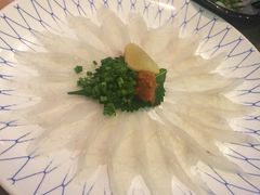 河鲀鱼菊盛薄切-天正河鲀·河豚亭(大连店)