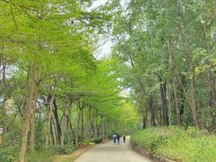 -广州莲花山旅游区
