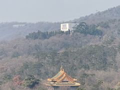 -灵谷景区
