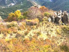 -白草畔自然风景区