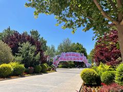 -南宫五洲植物乐园