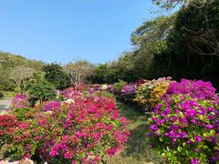-三亚蜈支洲岛旅游区