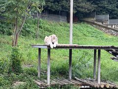 -宁波野生动物园