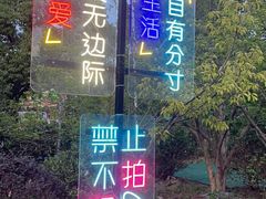 -苏州太湖国家湿地公园