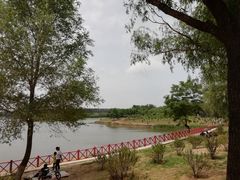 -丁香湖公园