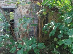 -北京西山国家森林公园