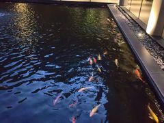-太子园林酒家