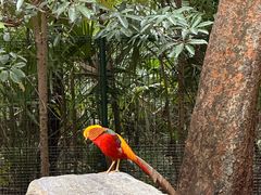 -上海动物园(地铁站)